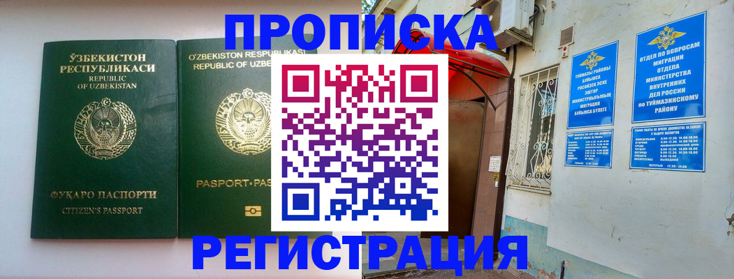 где прописаться в Щёлкино